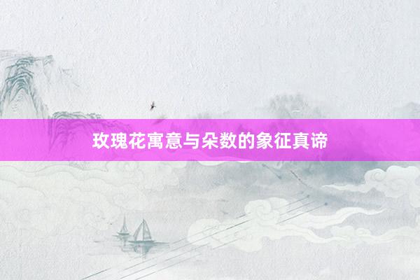 玫瑰花寓意与朵数的象征真谛